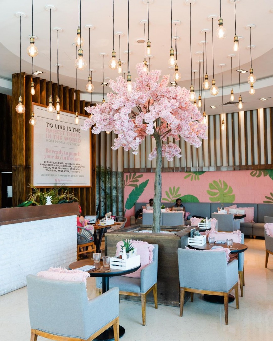 List of pink cafes in the UAE | Bounty Beets in Dubai